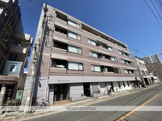 ビオレータ マールの画像