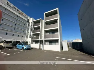 セント ポプラの画像