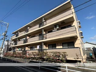 タボロッツアはごろもの画像