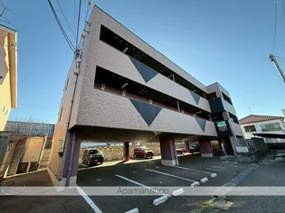 パフィオの画像