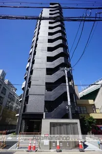 プレリス花の木オルディアの画像