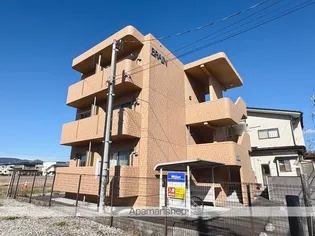 プリムローズの画像