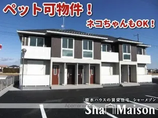 カンパーニュの画像