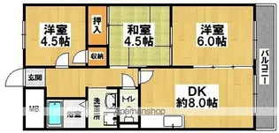 コーポスタンレー【5階】の間取り