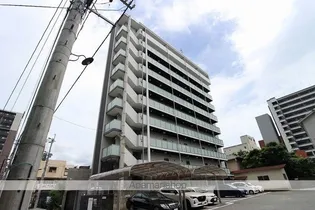 WILLING COZYの画像