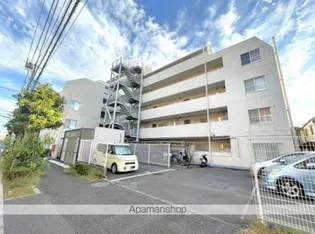 アイビハイツ柴又【4階】の外観