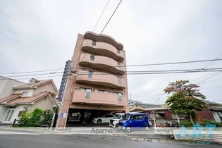 ブライムハヤシの画像