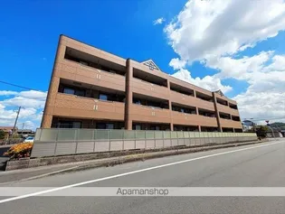 サンライズ亀甲の画像