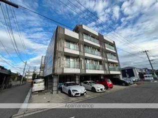 シエスタ米山の画像