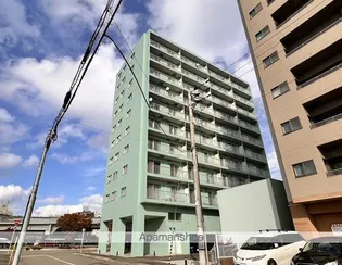 サルイ オビヒロの画像