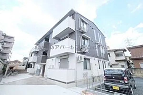 プラシードの画像