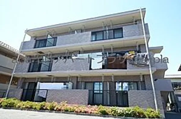 アルトゥーラの画像