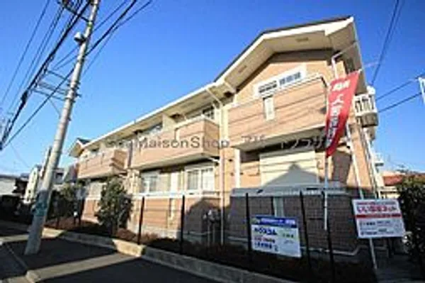 プラシードの画像