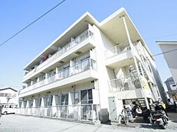 ホワイトジュネスの画像