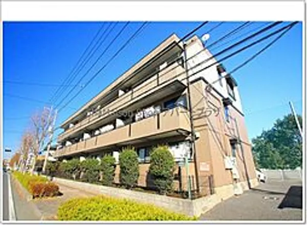 ピュアロータスの画像