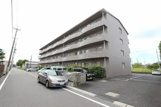 サンシャインイトウの画像