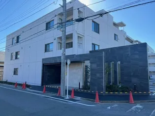 スアヴィス舎人の画像