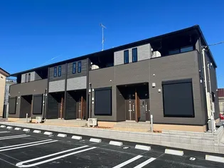 プリムラの画像