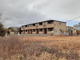 ひまわりの画像