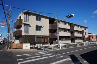 タートル エイトの画像