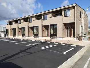 サンシャイン フラワーの画像