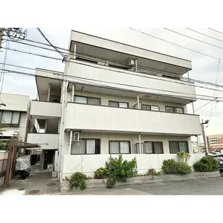 シンシア緑の画像