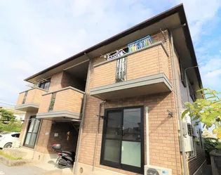 ウィルモア赤道の画像