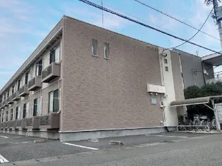 レオネクストチェリーブロッサムの画像