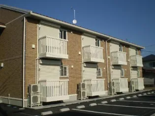 シェモア パールの画像