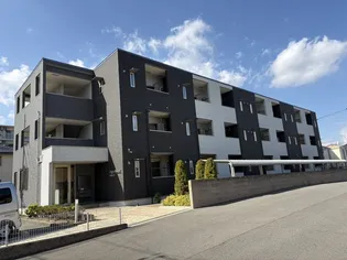 アンプルールの画像