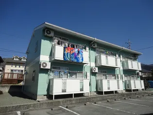 グリーン ウィート ホサカBの画像