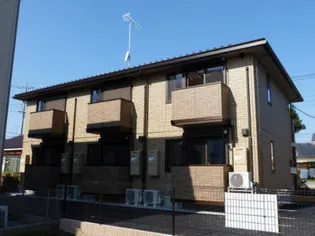 ブラウ バウム Bの画像