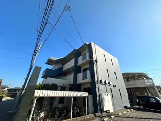 ブルームの画像