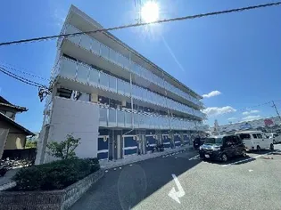 レオネクストOASIS花中の画像