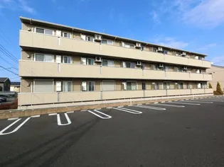 セジュール オリヴィエ Cの画像