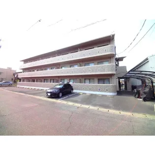 プリムローズAの画像