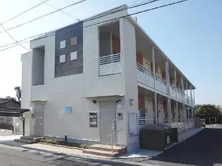 レオネクストカサラソの画像