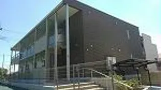 ミランダフェリスの画像