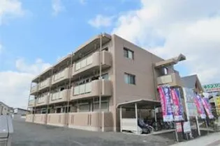 Y&Mティースマイルの画像