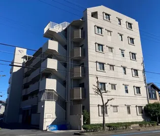 モアグレース森本の画像