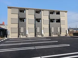 レグルスの画像