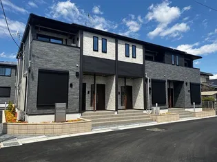 プラシードの画像