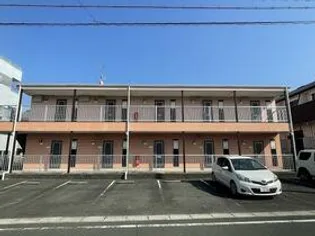 サープラス栞の画像