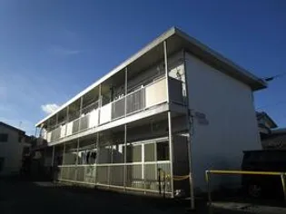 ウィルコートの画像