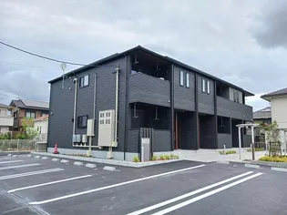 ステラートMMの画像