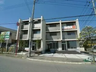 YS PRECIOUS Iの画像