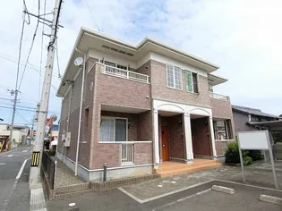 プリムローズAの画像