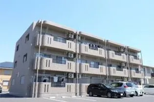 Y&Mメヌエットの画像