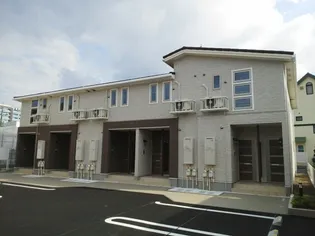 プリムローズAの画像