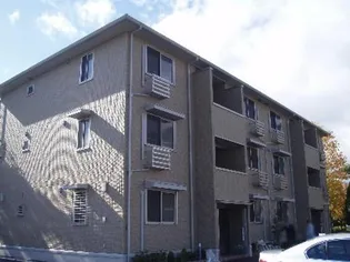 岐阜県大垣市中ノ江3丁目【アパート】の外観